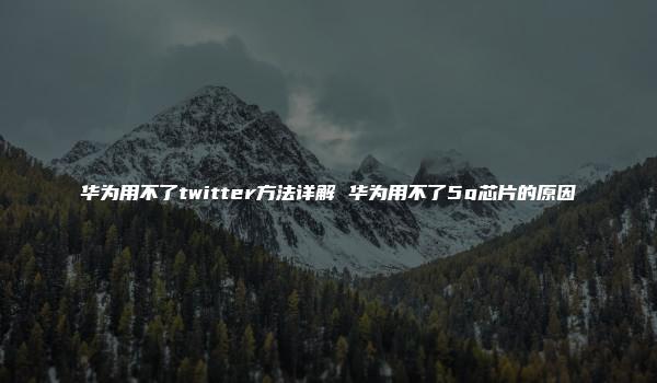 华为用不了twitter方法详解 华为用不了5g芯片的原因