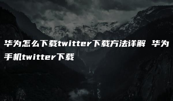 华为怎么下载twitter下载方法详解 华为手机twitter下载