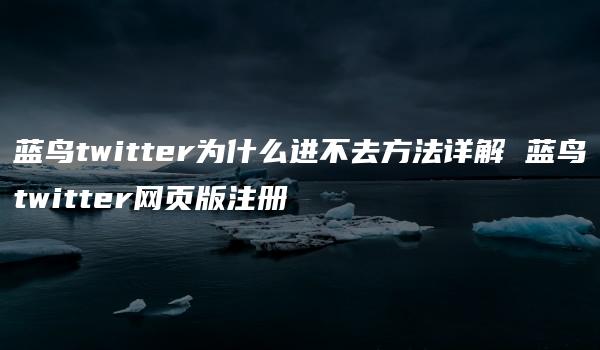 蓝鸟twitter为什么进不去方法详解 蓝鸟twitter网页版注册