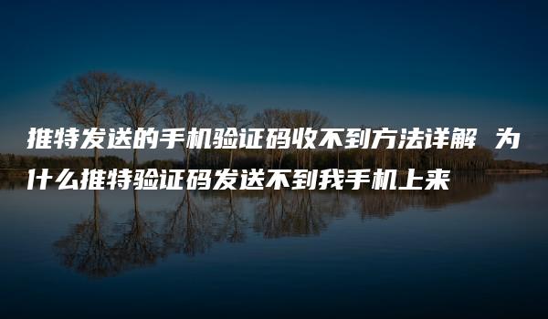 推特发送的手机验证码收不到方法详解 为什么推特验证码发送不到我手机上来