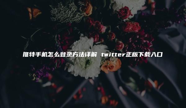 推特手机怎么登录方法详解 twitter正版下载入口