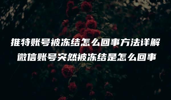 推特账号被冻结怎么回事方法详解 微信账号突然被冻结是怎么回事