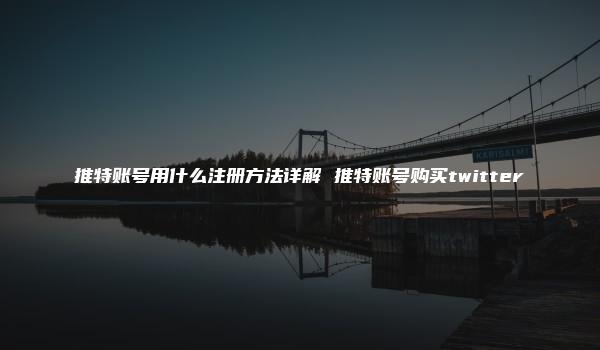 推特账号用什么注册方法详解 推特账号购买twitter