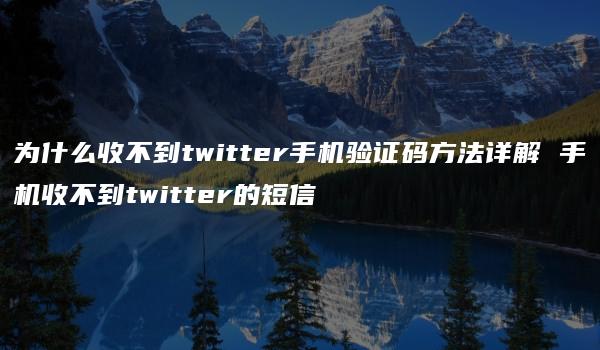 为什么收不到twitter手机验证码方法详解 手机收不到twitter的短信