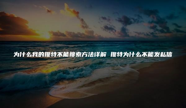 为什么我的推特不能搜索方法详解 推特为什么不能发私信