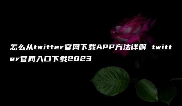 怎么从twitter官网下载APP方法详解 twitter官网入口下载2023