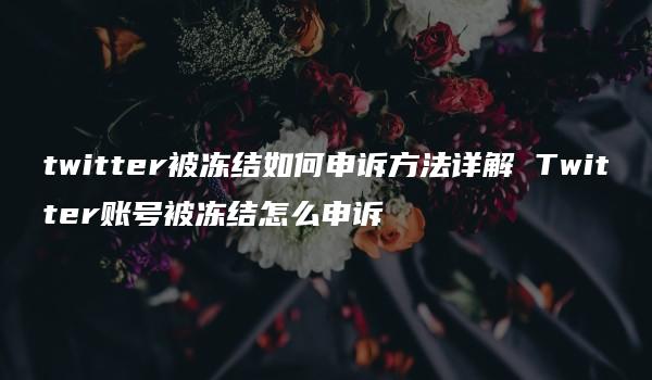 twitter被冻结如何申诉方法详解 Twitter账号被冻结怎么申诉