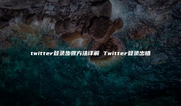 twitter登录步骤方法详解 Twitter登录出错