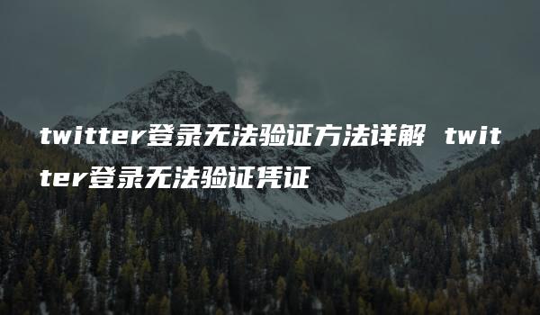 twitter登录无法验证方法详解 twitter登录无法验证凭证