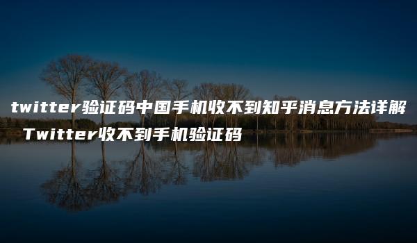 twitter验证码中国手机收不到知乎消息方法详解 Twitter收不到手机验证码