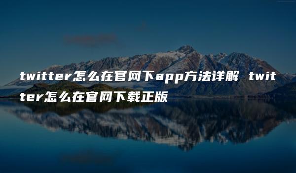 twitter怎么在官网下app方法详解 twitter怎么在官网下载正版