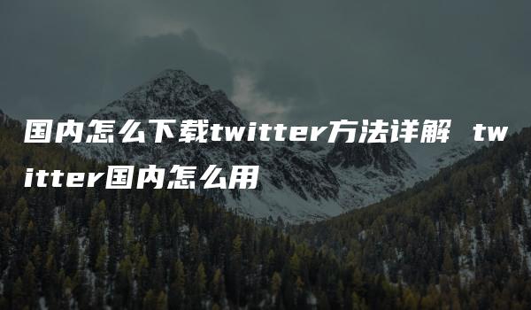 国内怎么下载twitter方法详解 twitter国内怎么用