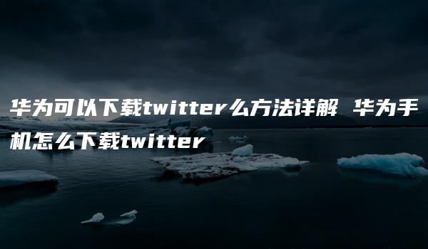 华为可以下载twitter么方法详解 华为手机怎么下载twitter