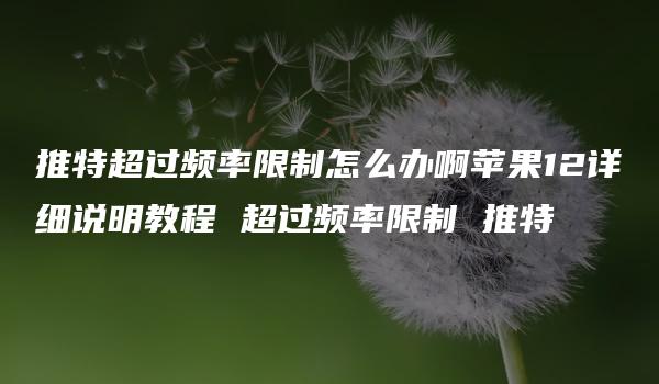 推特超过频率限制怎么办啊苹果12详细说明教程 超过频率限制 推特