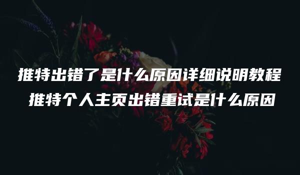 推特出错了是什么原因详细说明教程 推特个人主页出错重试是什么原因