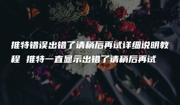 推特错误出错了请稍后再试详细说明教程 推特一直显示出错了请稍后再试