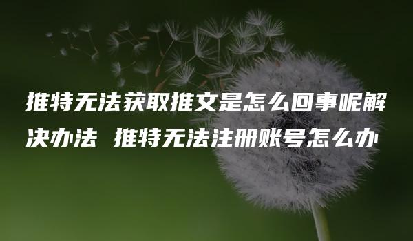 推特无法获取推文是怎么回事呢解决办法 推特无法注册账号怎么办