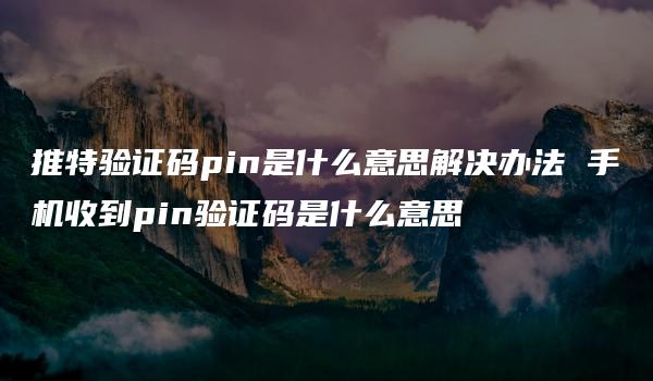 推特验证码pin是什么意思解决办法 手机收到pin验证码是什么意思