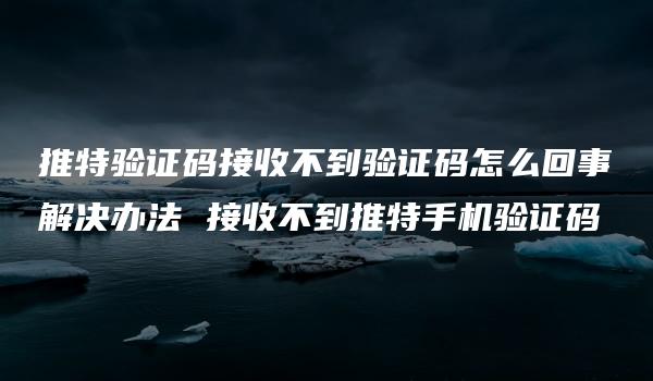 推特验证码接收不到验证码怎么回事解决办法 接收不到推特手机验证码