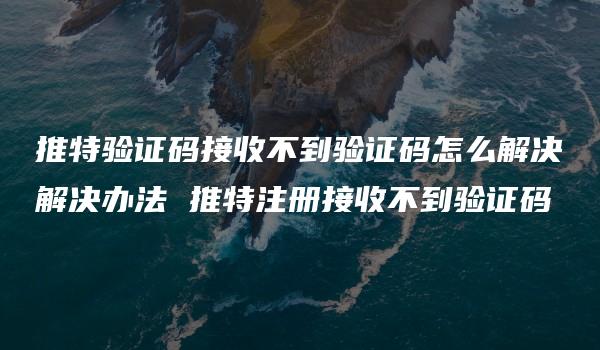 推特验证码接收不到验证码怎么解决解决办法 推特注册接收不到验证码