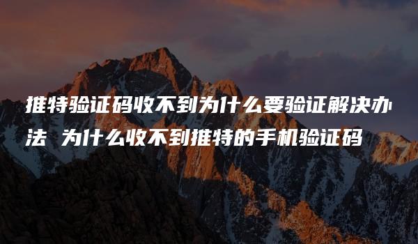 推特验证码收不到为什么要验证解决办法 为什么收不到推特的手机验证码