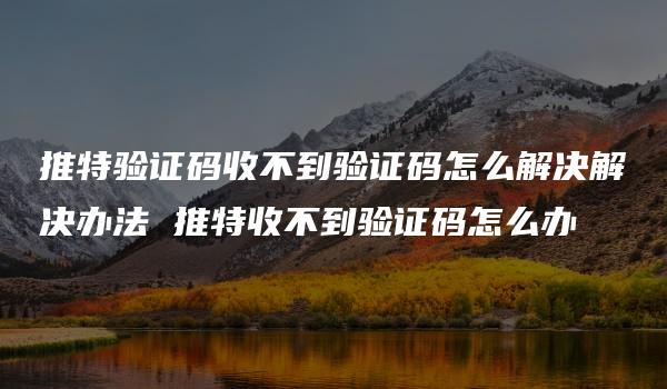 推特验证码收不到验证码怎么解决解决办法 推特收不到验证码怎么办