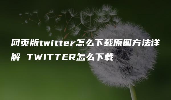 网页版twitter怎么下载原图方法详解 TWITTER怎么下载