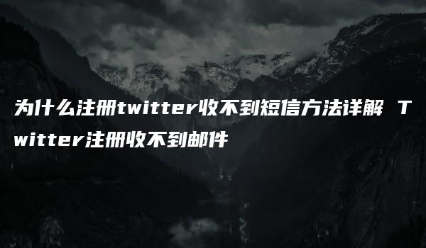 为什么注册twitter收不到短信方法详解 Twitter注册收不到邮件