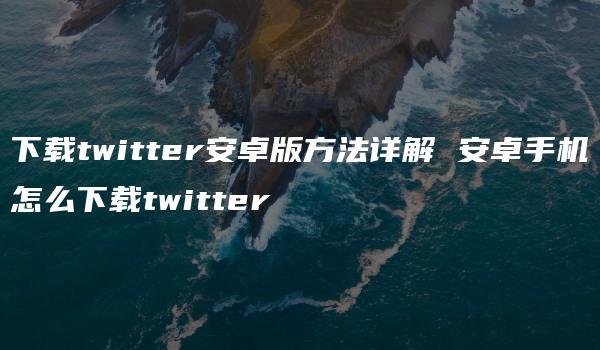 下载twitter安卓版方法详解 安卓手机怎么下载twitter