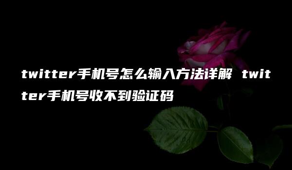 twitter手机号怎么输入方法详解 twitter手机号收不到验证码