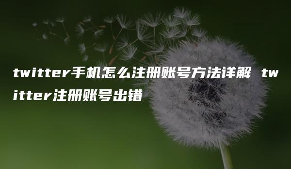 twitter手机怎么注册账号方法详解 twitter注册账号出错