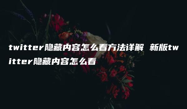 twitter隐藏内容怎么看方法详解 新版twitter隐藏内容怎么看