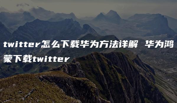 twitter怎么下载华为方法详解 华为鸿蒙下载twitter