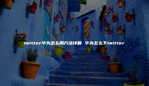 twitter华为怎么用方法详解 华为怎么下twitter