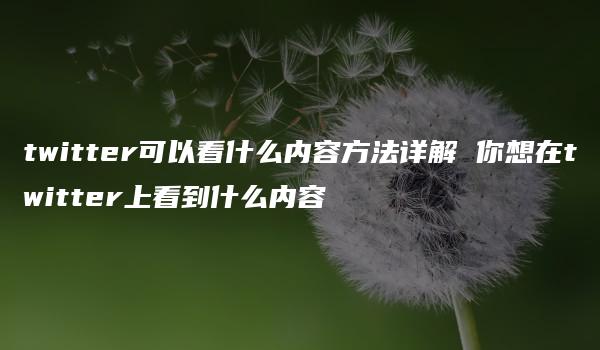 twitter可以看什么内容方法详解 你想在twitter上看到什么内容