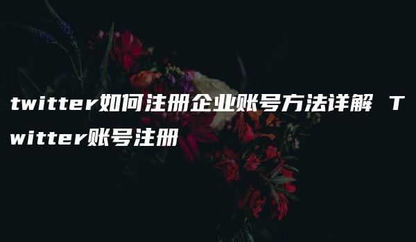 twitter如何注册企业账号方法详解 Twitter账号注册