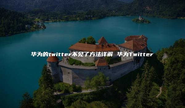 华为的twitter不见了方法详解 华为Twitter