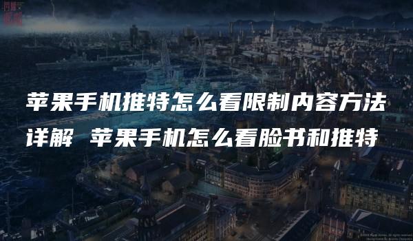 苹果手机推特怎么看限制内容方法详解 苹果手机怎么看脸书和推特