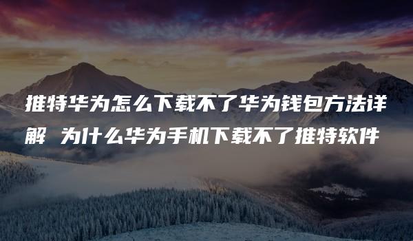 推特华为怎么下载不了华为钱包方法详解 为什么华为手机下载不了推特软件