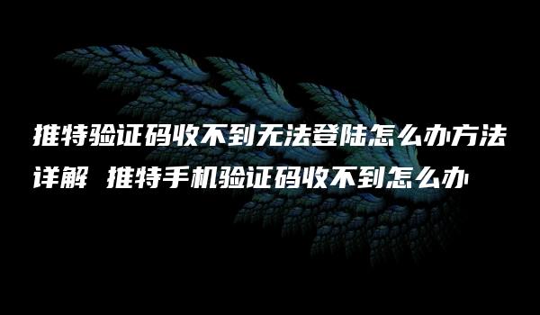 推特验证码收不到无法登陆怎么办方法详解 推特手机验证码收不到怎么办