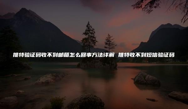 推特验证码收不到邮箱怎么回事方法详解 推特收不到短信验证码