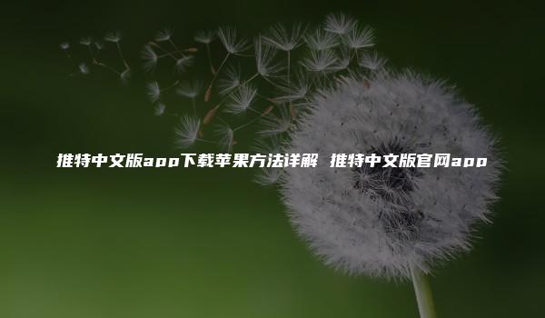 推特中文版app下载苹果方法详解 推特中文版官网app