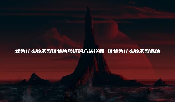 我为什么收不到推特的验证码方法详解 推特为什么收不到私信