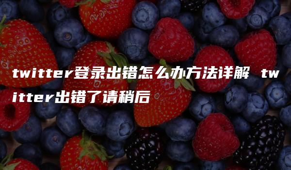 twitter登录出错怎么办方法详解 twitter出错了请稍后