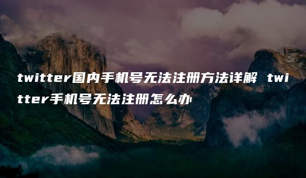 twitter国内手机号无法注册方法详解 twitter手机号无法注册怎么办