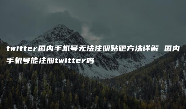 twitter国内手机号无法注册贴吧方法详解 国内手机号能注册twitter吗