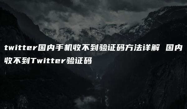 twitter国内手机收不到验证码方法详解 国内收不到Twitter验证码