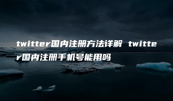 twitter国内注册方法详解 twitter国内注册手机号能用吗