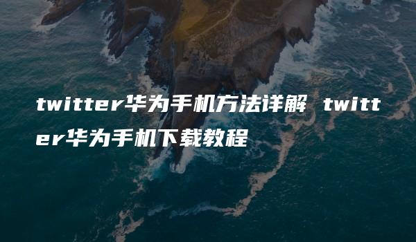 twitter华为手机方法详解 twitter华为手机下载教程