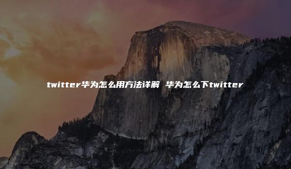 twitter华为怎么用方法详解 华为怎么下twitter